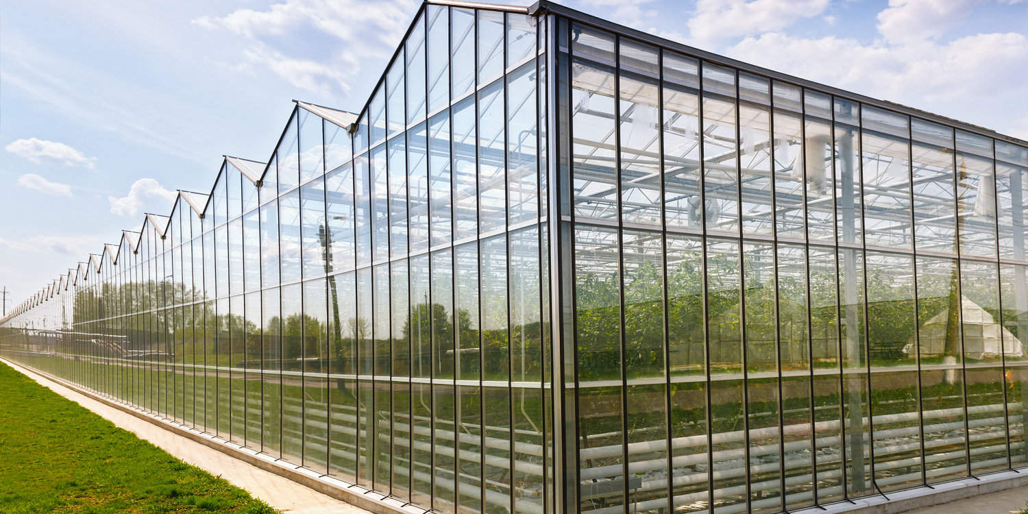 szklo szklarniowe